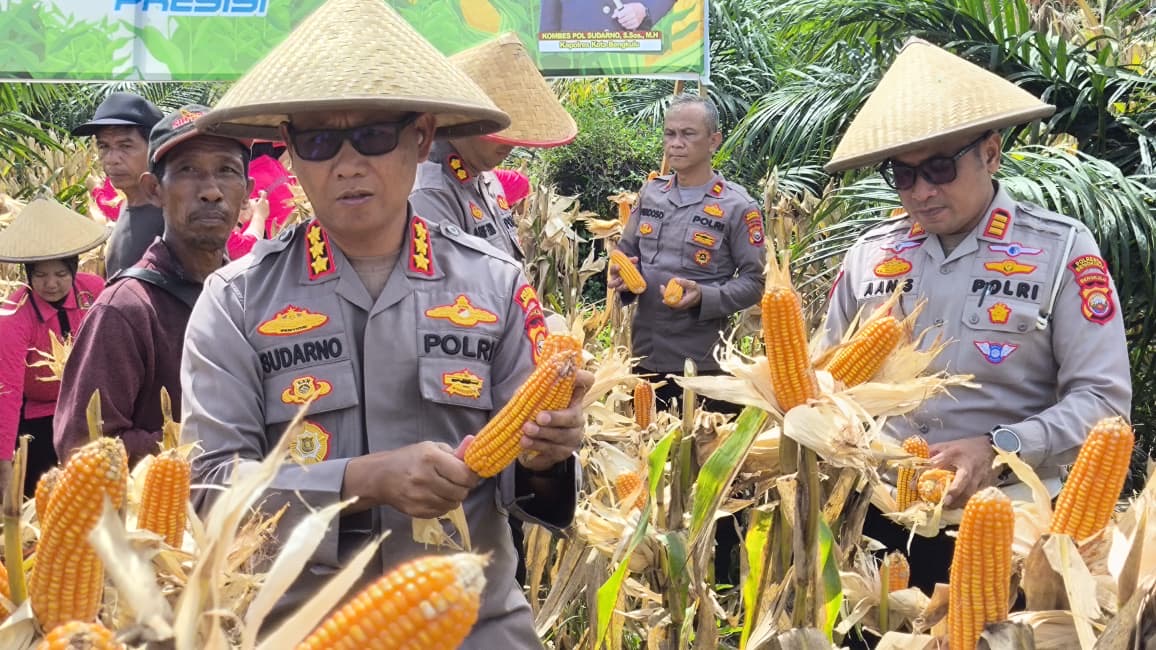 Polsek Kampung Melayu Laksanakan Panen Raya Jagung Serentak Kuartal III Tahun 2025